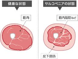 筋トレで足腰を鍛え老化防止/姫路市パーソナルジムの画像