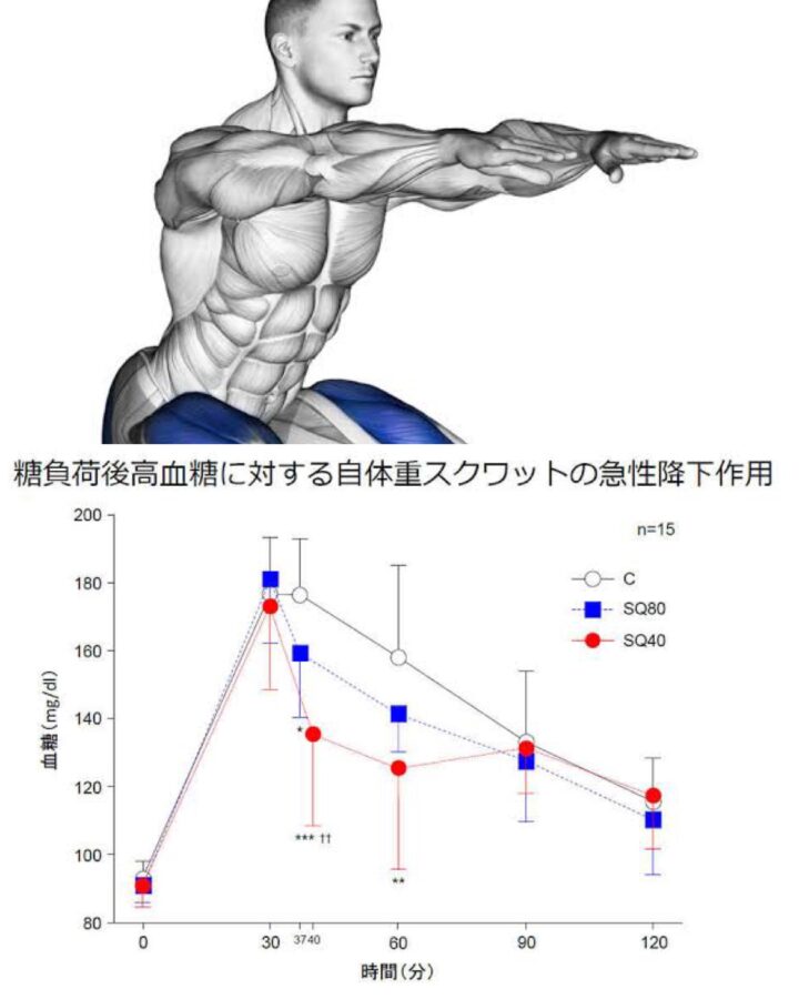 姫路のジムが解説｜40代の痩せ方/姫路パーソナルジムの画像