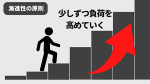 筋トレ初心者も安心！姫路パーソナルジムのボディメイク法の画像