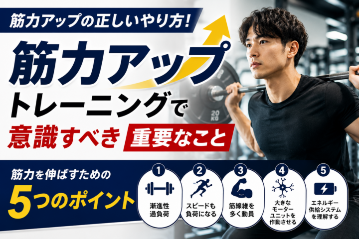【筋力アップの正しいやり方】筋力を伸ばすために本当に大切な5つのポイント/姫路パーソナルジムの画像
